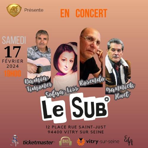 Concert avec trois artistes professionnel le 17 Février 2024