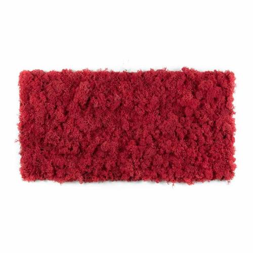 Tableau lichen stabilisé Rouge - 30 x 60 cm