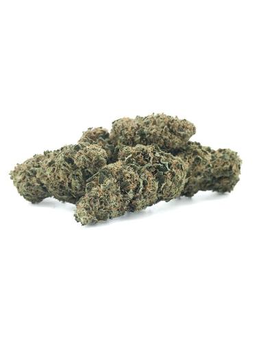 Fleurs CBD Orange Bud – Green-House