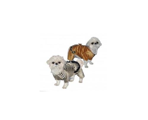 COSTUME CHIEN