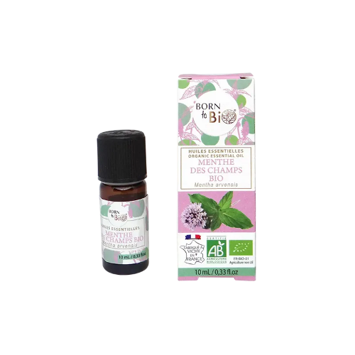 HUILE ESSENTIELLE MENTHE DES CHAMPS ( ARVENIS ) BIO 10 ML