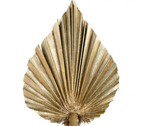 Feuille de palmier doré (10 tiges)