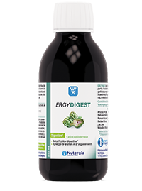 Ergydigest