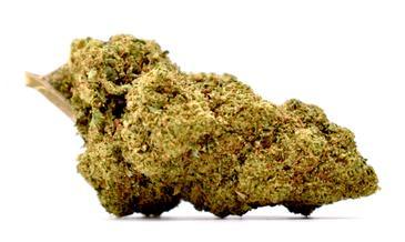 Jack Herer 8€/g !! Indoor/ Tarif Dégressif 8€/ G