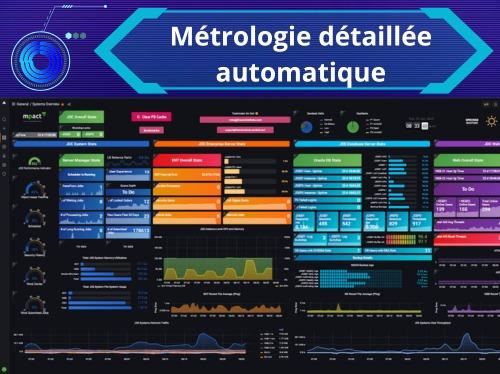 Métrologie détaillée automatique