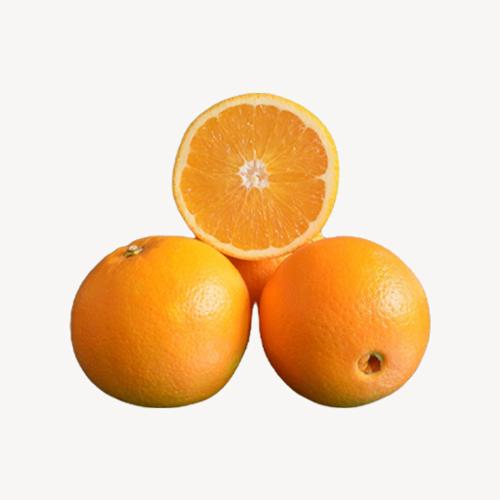 Navel Orange