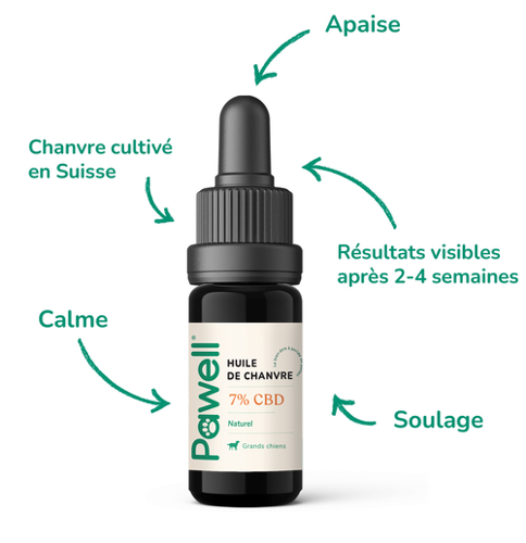 Huile CBD pour grand chien