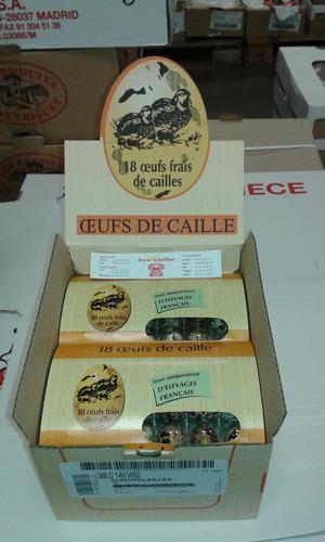 Oeufs de caille