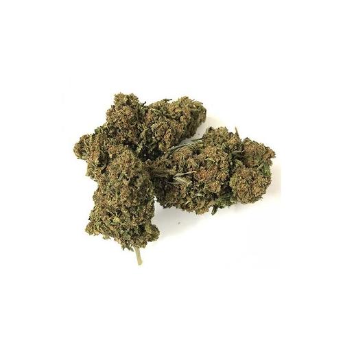 Grossiste CBD en France - Bigbud Cbd Greenhouse - Fleurs Cbd