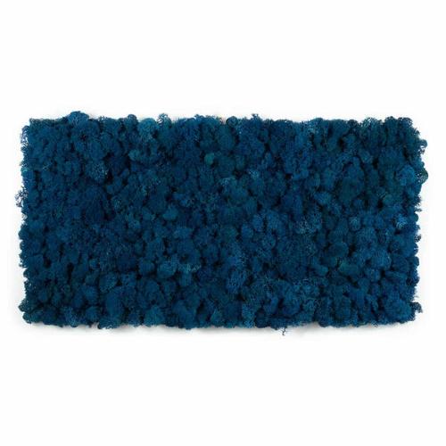 Tableau lichen stabilisé Bleu royal - 30 x 60 cm