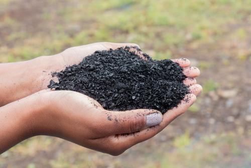 BIOCHAR – Engrais naturel et piège à carbone