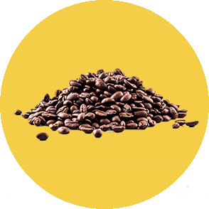 CAFÉ PUR ARABICA, CAFÉ ROBUSTA BIO