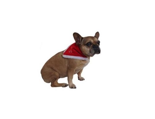 FOULARD DE NOEL POUR CHIEN AVEC GRELOT