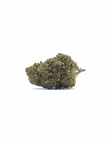 Lemon Haze 8% CBD – Outdoor