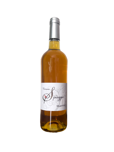 Muscat de Rivesaltes 2019