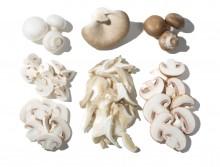 Champignons