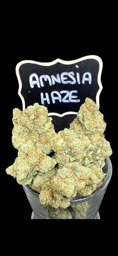 AMNESIA HAZE - USA