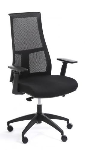 Fauteuil Ergonomique Valeur