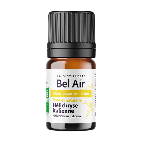 Hélichryse italienne (Immortelle)