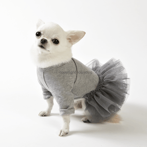 Robe pour chiens