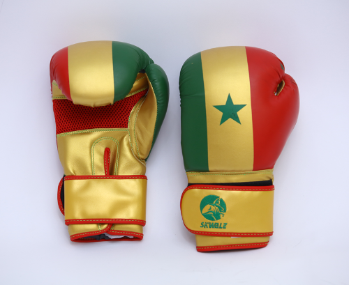 Gants De Boxe Skwale Pretender