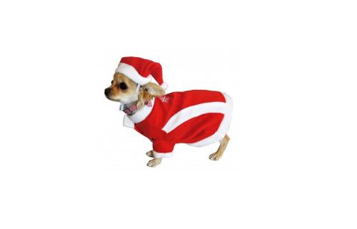 COSTUME DE NOEL CHAT ET PETIT CHIEN