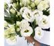 Lisianthus blanc (10 tiges) (FRANCE FLEURS)