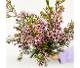 Waxflower (5 tiges) (FRANCE FLEURS)