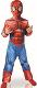 Costume Spiderman (MAISON MARCHAL)