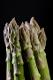 asperges vertes (AMS EUROPEAN)